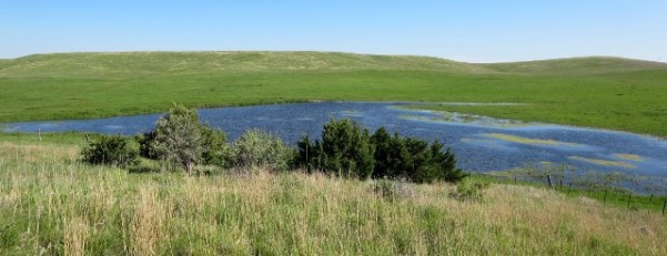 Ranch stock dam filled after storms 2015--6-19